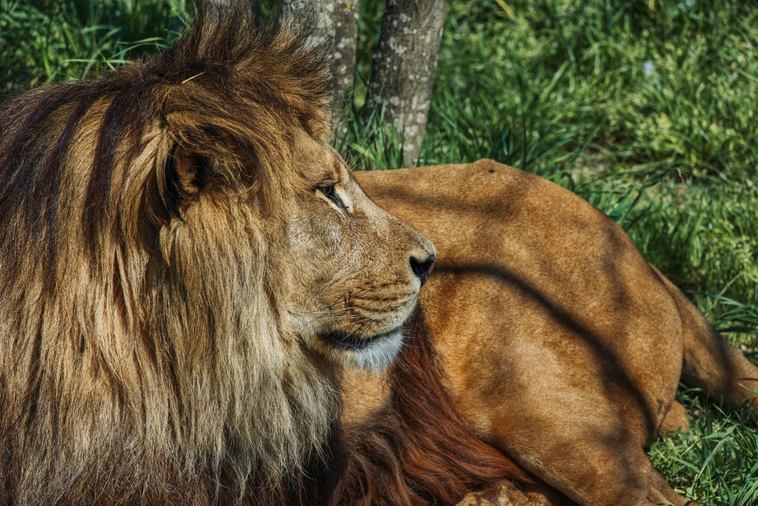 Navigating the Ecosystem of Smart Plugs and Power Strips
