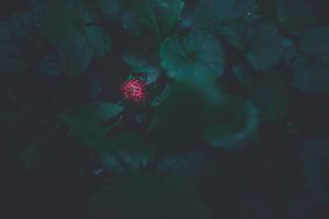 The Practical Applications of Small Single-Board Computers