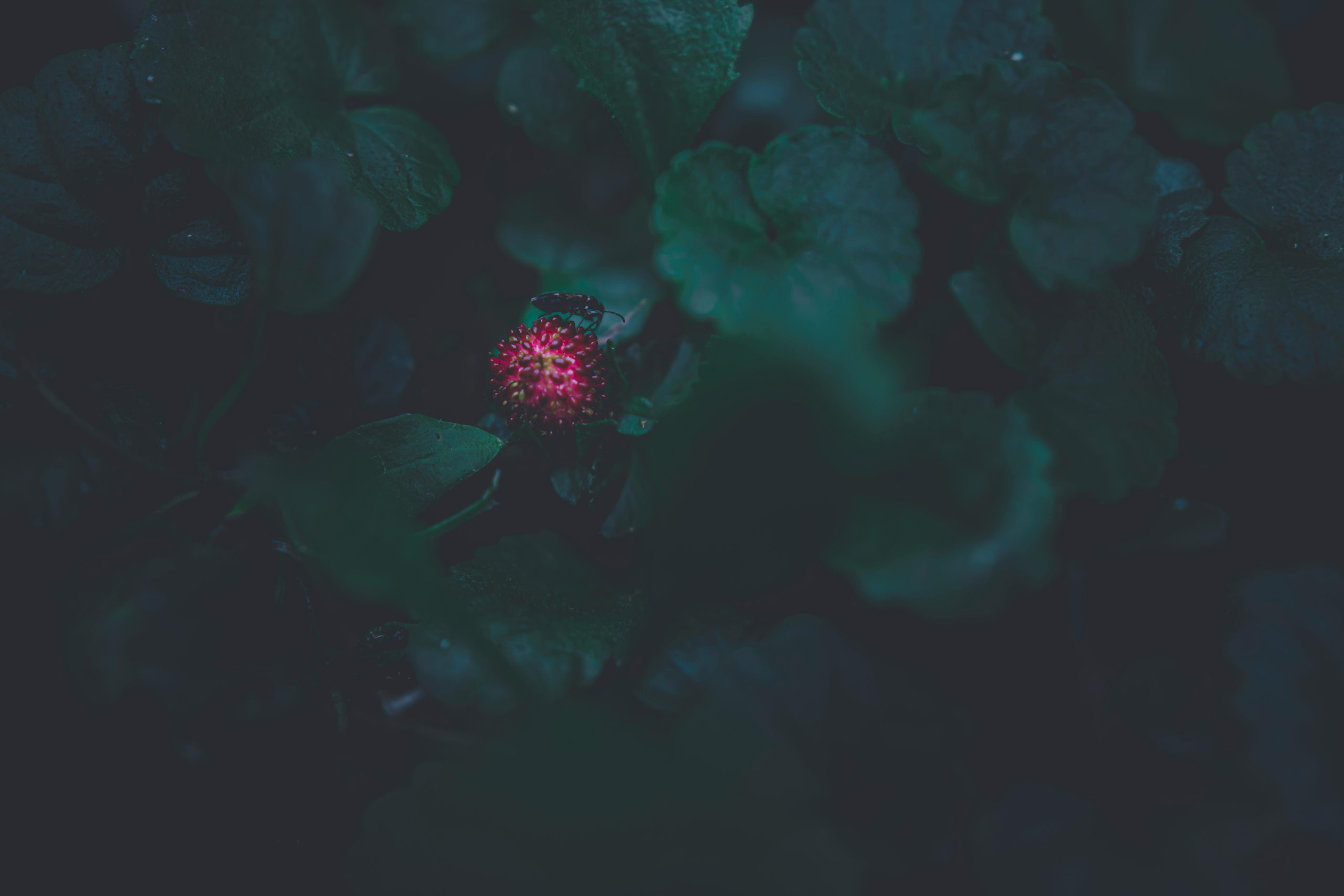 The Practical Applications of Small Single-Board Computers