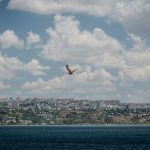 Navigating the Landscape of Government Incentives for EV Adoption