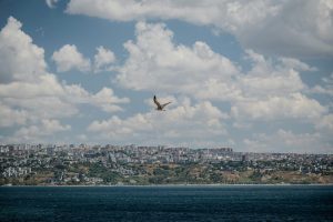 Navigating the Landscape of Government Incentives for EV Adoption