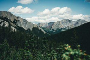 Exploring the Majestic Beauty of National Parks Globally