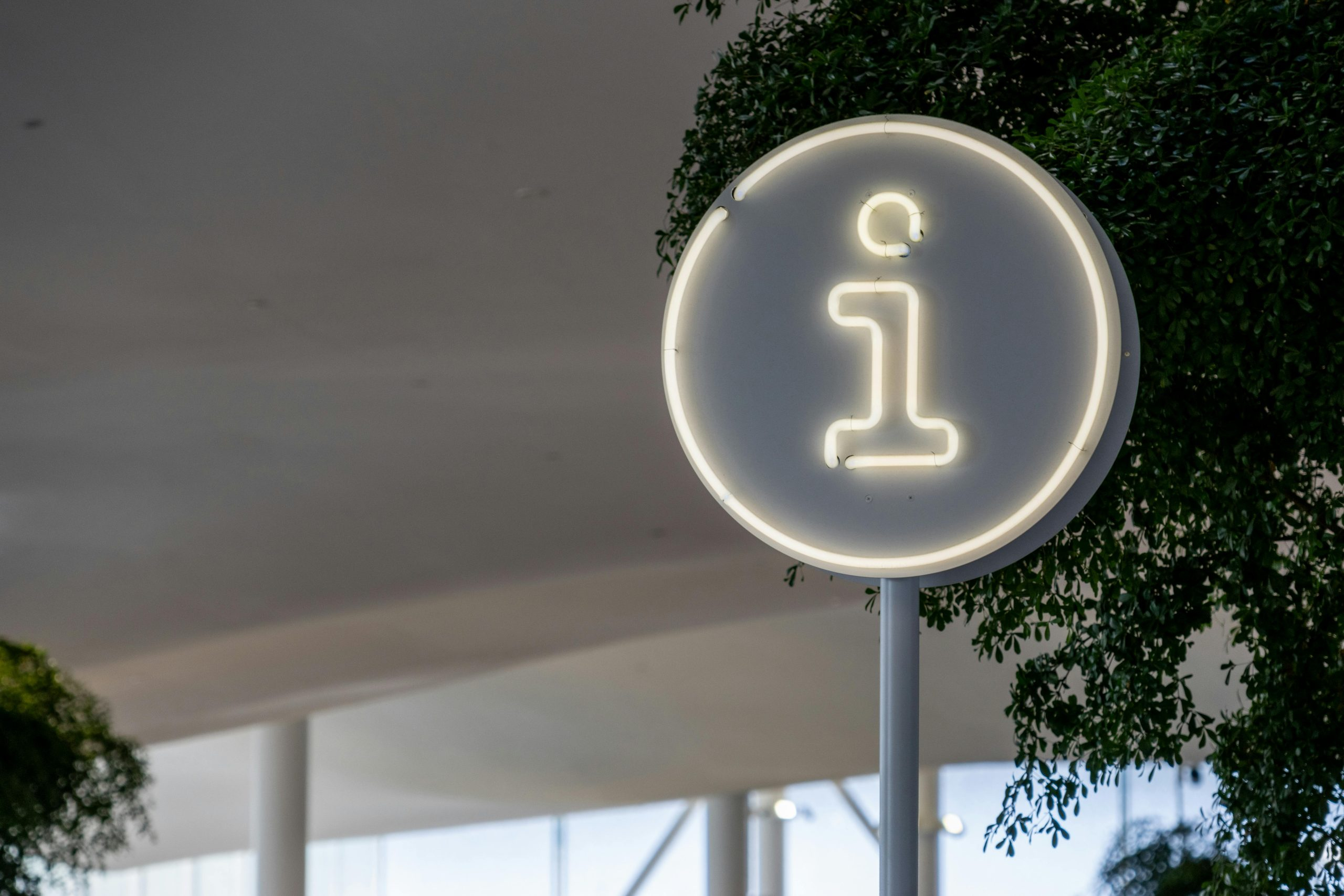 How software is democratizing access to knowledge and information