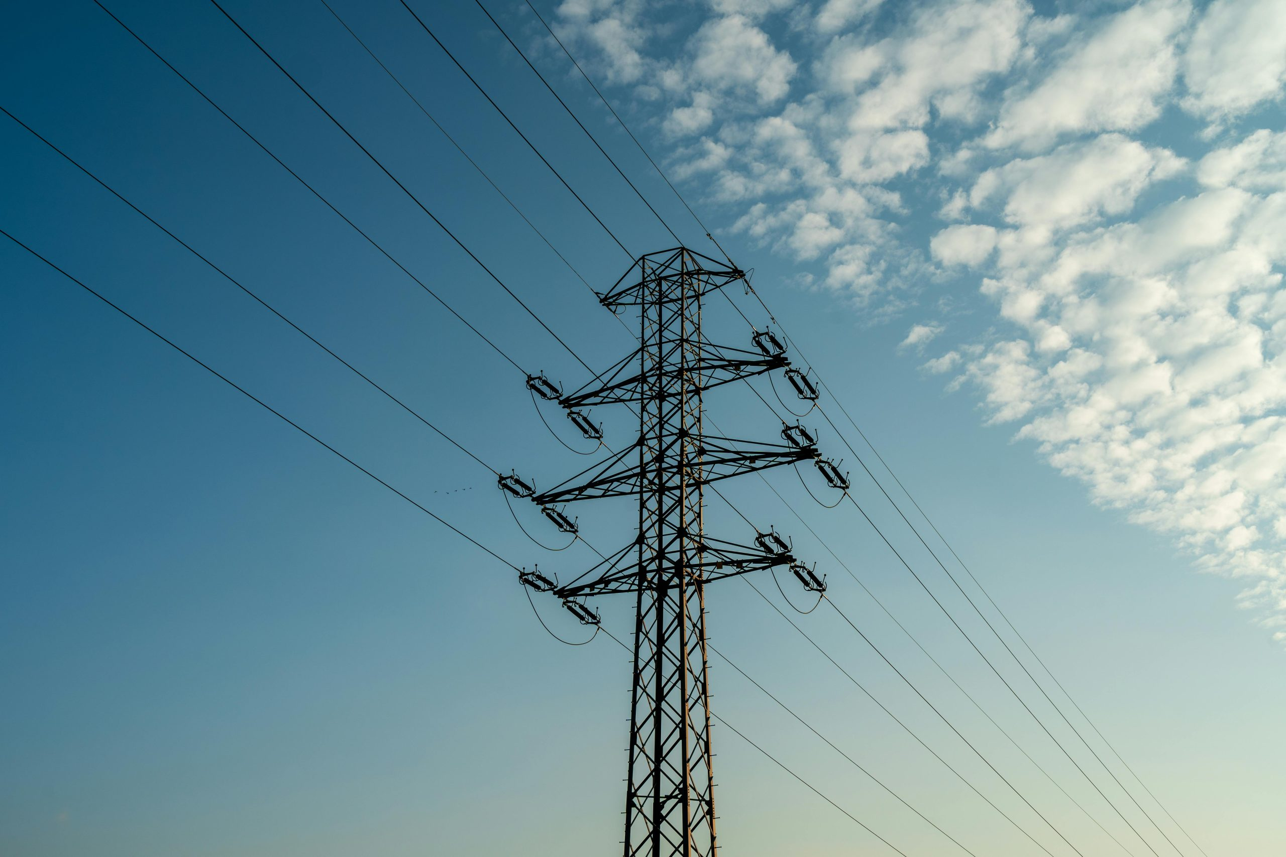 The power of a single line of code to change an entire system