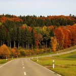 The Ethical Traveler: Making Mindful Choices on the Road