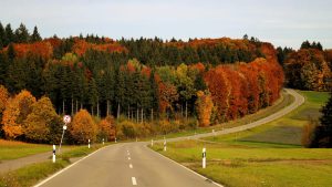 The Ethical Traveler: Making Mindful Choices on the Road