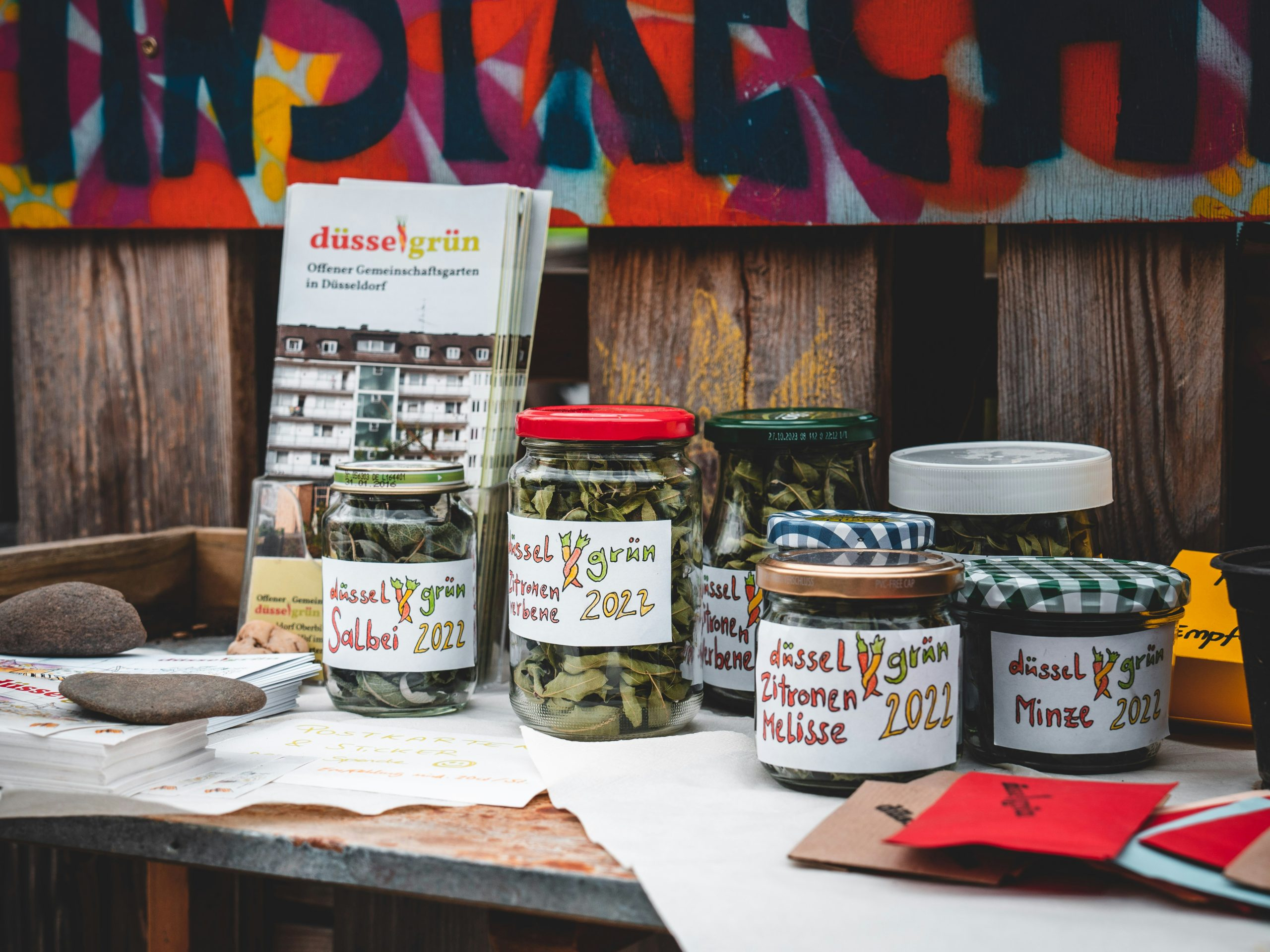 Exploring the Subtle Differences Between Various Olive Oils