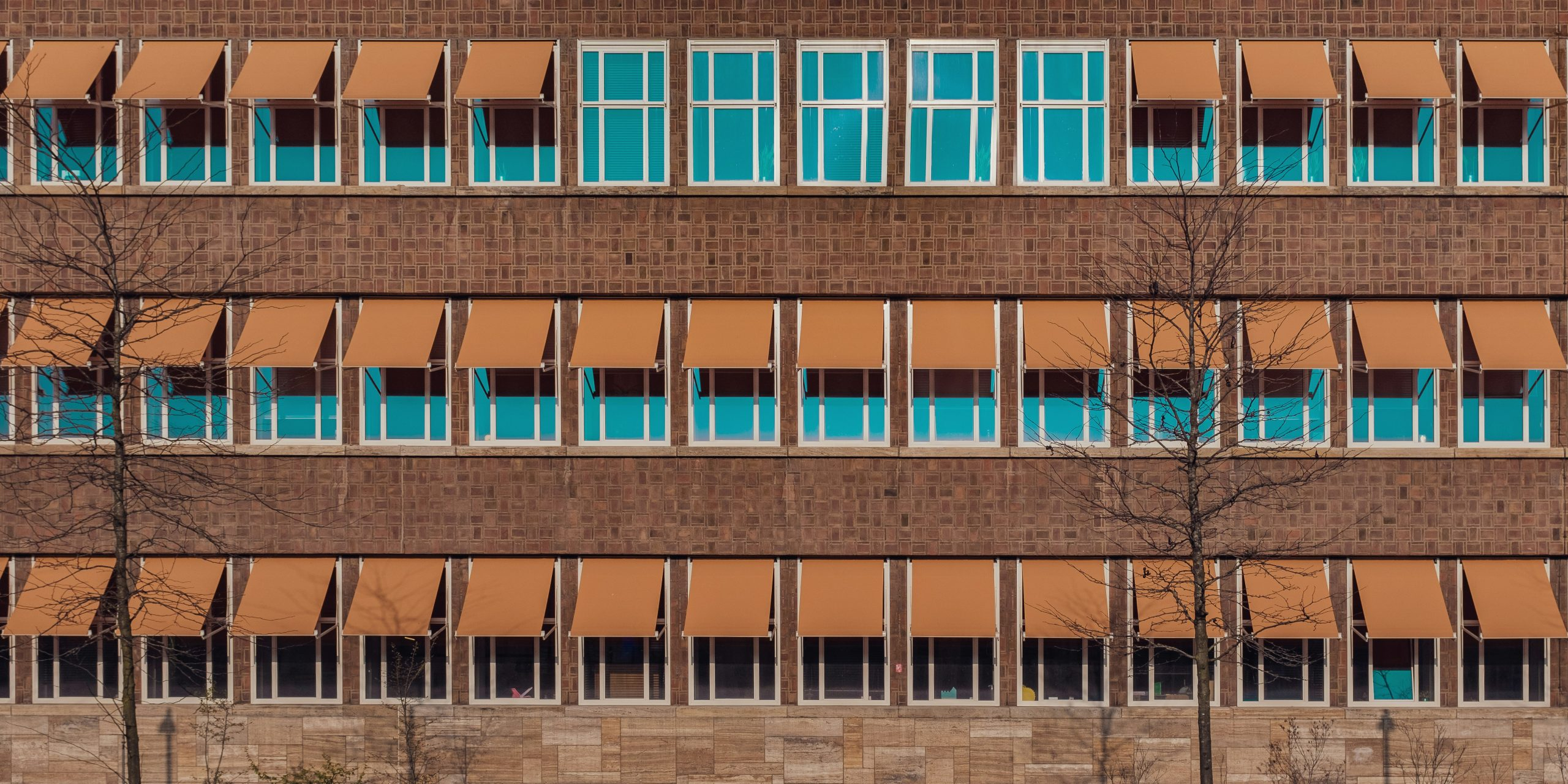 A look at the world's most innovative school buildings