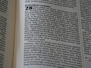 Understanding the Maillard Reaction for Ultimate Browning