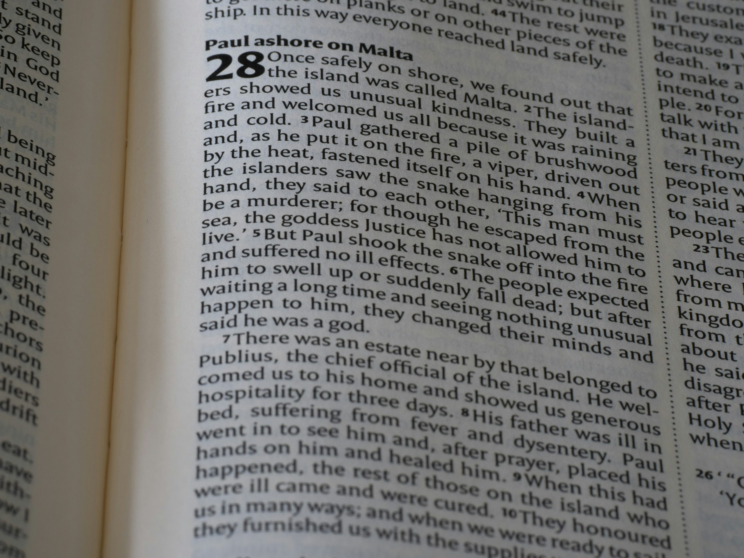 Understanding the Maillard Reaction for Ultimate Browning